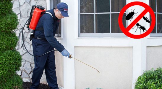 Ilıca Hamam Böceği İlaçlama böcek ilaçlama ve haşere kontrolü — ilaclama-tr.com